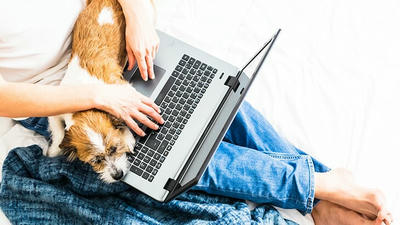 Balancing Work and Pet Parenting: Tips for Busy Owners
