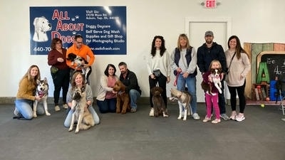 Building a Bark-tastic Community: The Importance of Local Pet Groups and Clubs