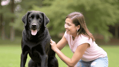 Family-Friendly Pet Training Tips: Ensuring Everyone Feels Included
