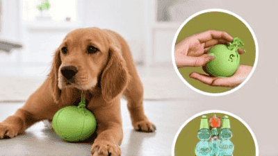 Top 5 Eco-Friendly Pet Toys That Your Pets Will Love